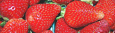 fresh red strawberries
