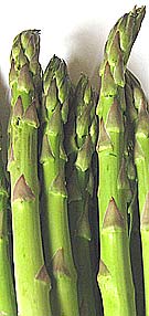 fresh green asparagus spears