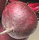 picture of globe beetroot
