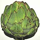 photo of green globe artichoke