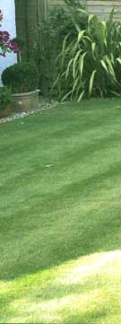 yorkshire lawnmowers
